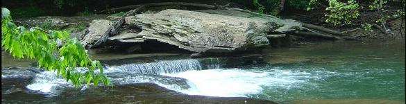 Webster County